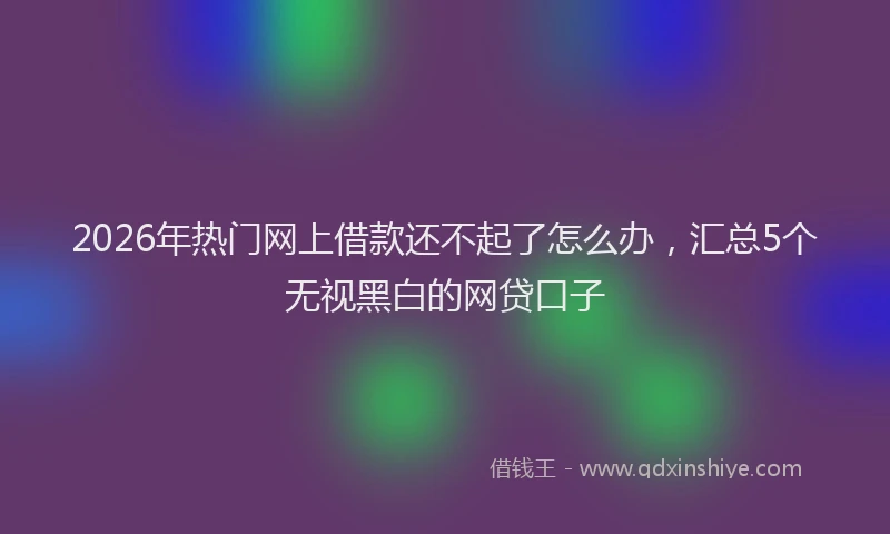 2026年热门网上借款还不起了怎么办，汇总5个无视黑白的网贷口子