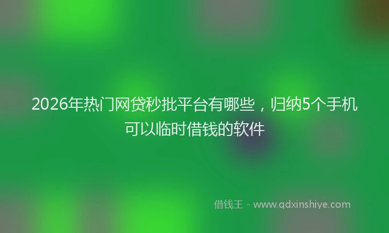 2026年热门网贷秒批平台有哪些，归纳5个手机可以临时借钱的软件