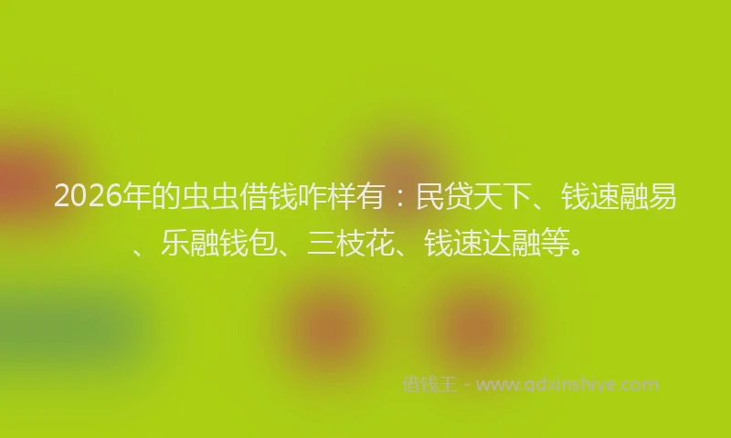 2026年的虫虫借钱咋样有:民贷天下、钱速融易、乐融钱包、三枝花、钱速达融等。