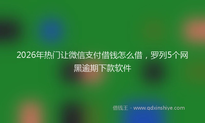 2026年热门让微信支付借钱怎么借，罗列5个网黑逾期下款软件