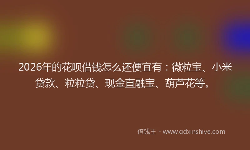2026年的花呗借钱怎么还便宜有：微粒宝、小米贷款、粒粒贷、现金直融宝、葫芦花等。