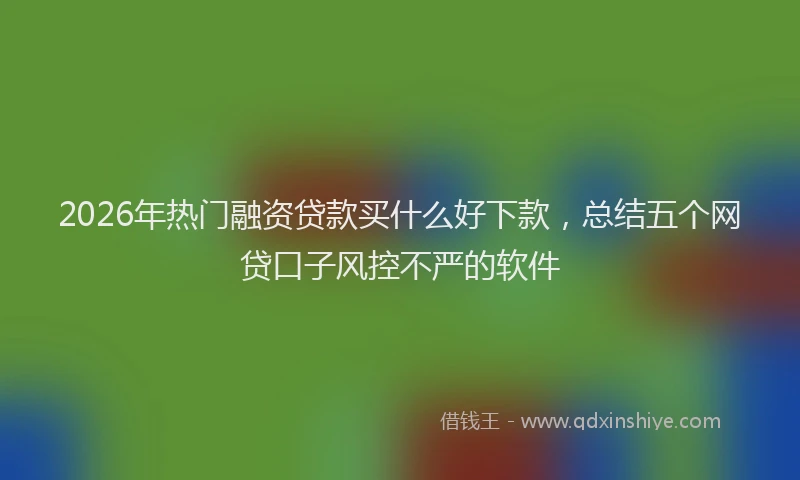 2026年热门融资贷款买什么好下款，总结五个网贷口子风控不严的软件