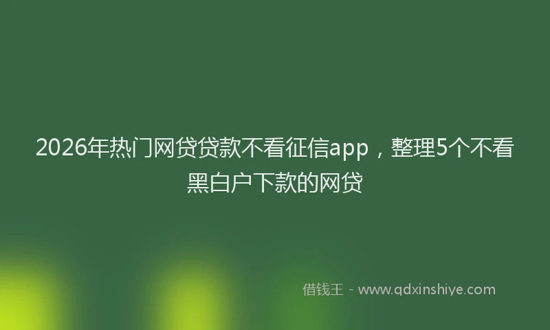 2026年热门网贷贷款不看征信app，整理5个不看黑白户下款的网贷