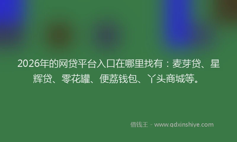 2026年的网贷平台入口在哪里找有：麦芽贷、星辉贷、零花罐、便荔钱包、丫头商城等。