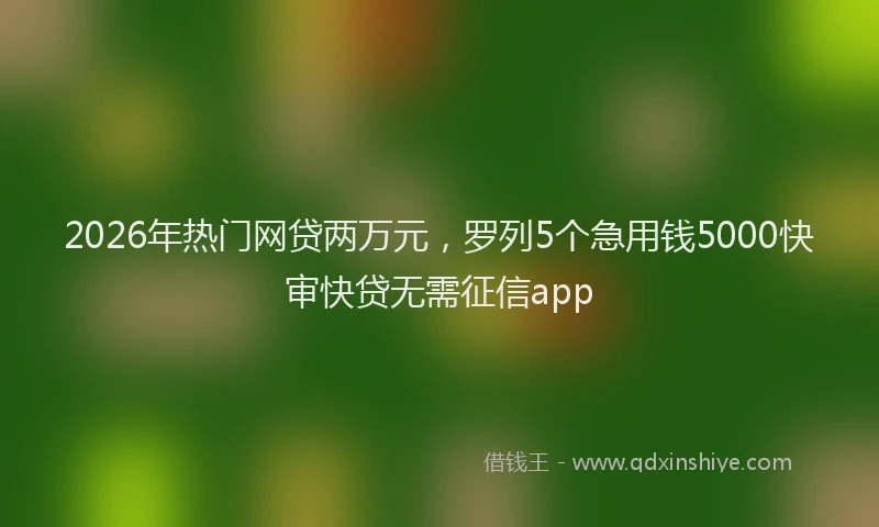 2026年热门网贷两万元,罗列5个急用钱5000快审快贷无需征信app