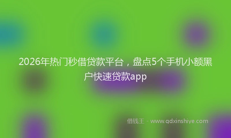2026年热门秒借贷款平台，盘点5个手机小额黑户快速贷款app