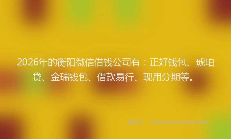 2026年的衡阳微信借钱公司有：正好钱包、琥珀贷、金瑞钱包、借款易行、现用分期等。