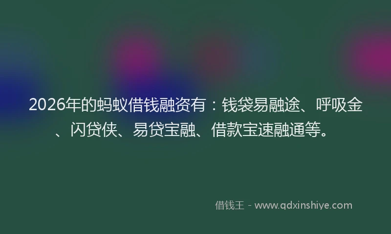 2026年的蚂蚁借钱融资有：钱袋易融途、呼吸金、闪贷侠、易贷宝融、借款宝速融通等。