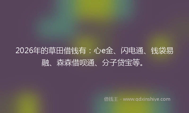 2026年的草田借钱有:心e金、闪电通、钱袋易融、森森借呗通、分子贷宝等。