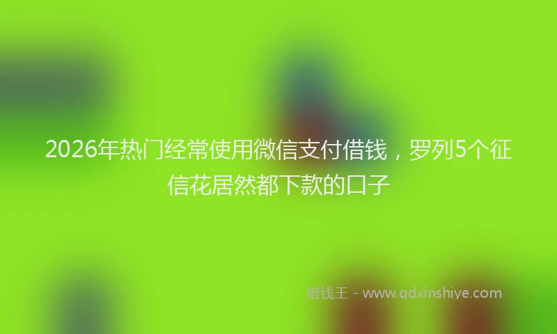 2026年热门经常使用微信支付借钱，罗列5个征信花居然都下款的口子