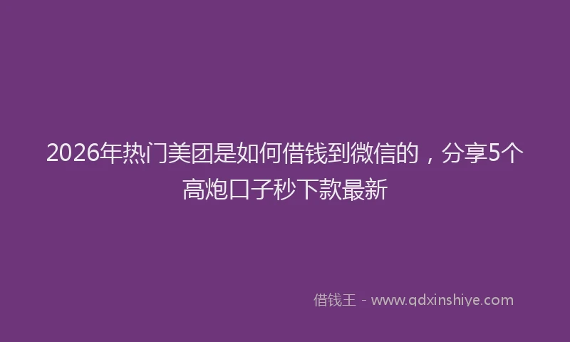 2026年热门美团是如何借钱到微信的，分享5个高炮口子秒下款最新