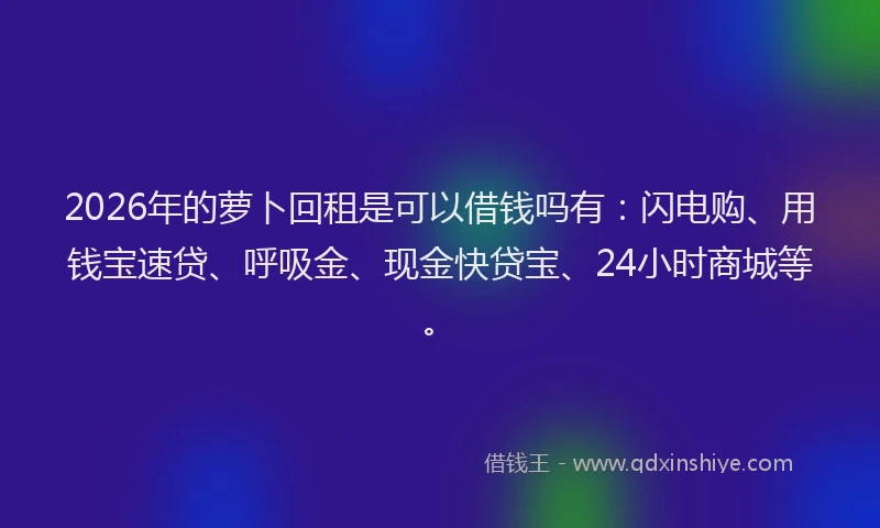 2026年的萝卜回租是可以借钱吗有：闪电购、用钱宝速贷、呼吸金、现金快贷宝、24小时商城等。