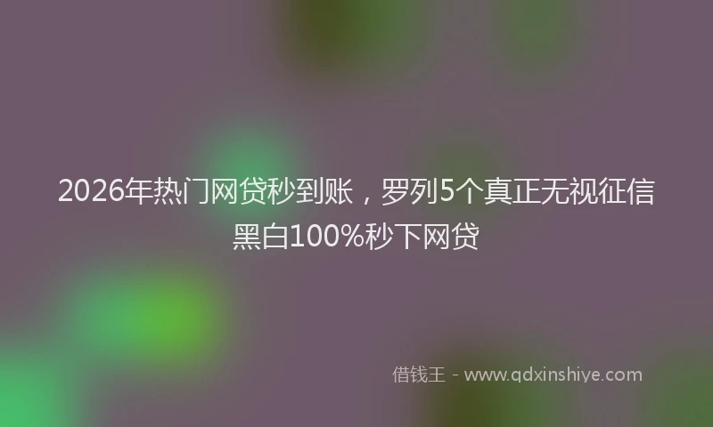 2026年热门网贷秒到账，罗列5个真正无视征信黑白100%秒下网贷