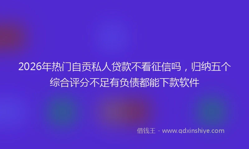 2026年热门自贡私人贷款不看征信吗，归纳五个综合评分不足有负债都能下款软件