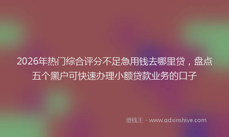 2026年热门综合评分不足急用钱去哪里贷，盘点五个黑户可快速办理小额贷款业务的口子