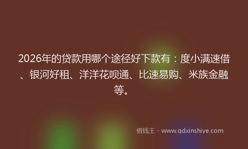 2026年的贷款用哪个途径好下款有：度小满速借、银河好租、洋洋花呗通、比速易购、米族金融等。