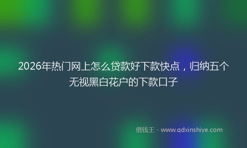 2026年热门网上怎么贷款好下款快点，归纳五个无视黑白花户的下款口子
