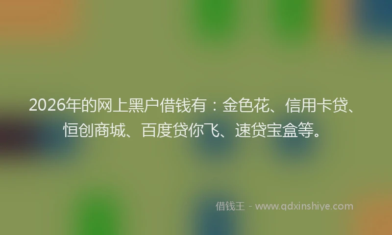2026年的网上黑户借钱有：金色花、信用卡贷、恒创商城、百度贷你飞、速贷宝盒等。