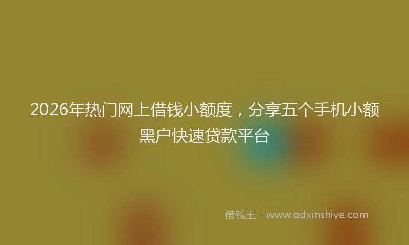 2026年热门网上借钱小额度，分享五个手机小额黑户快速贷款平台