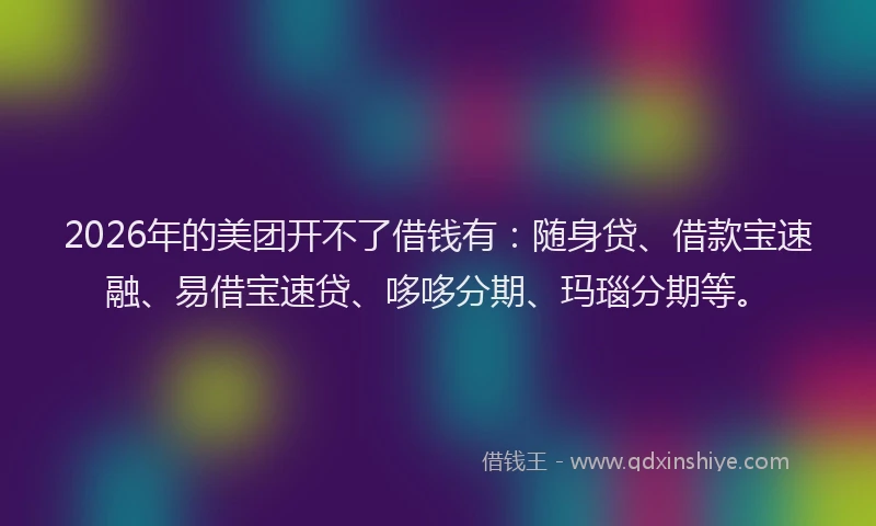 2026年的美团开不了借钱有:随身贷、借款宝速融、易借宝速贷、哆哆分期、玛瑙分期等。