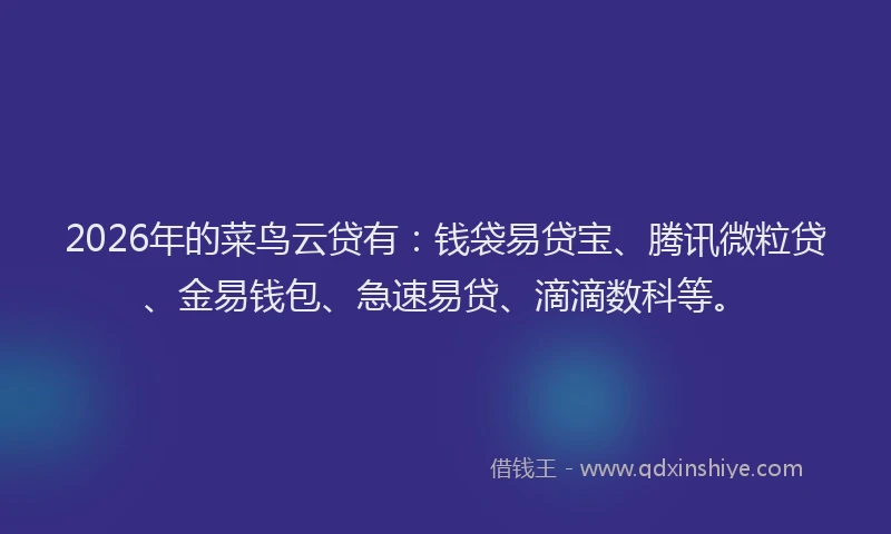 2026年的菜鸟云贷有：钱袋易贷宝、腾讯微粒贷、金易钱包、急速易贷、滴滴数科等。