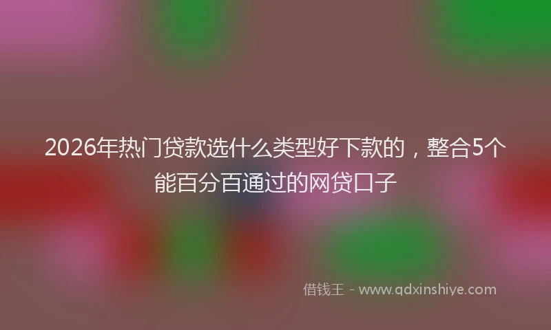 2026年热门贷款选什么类型好下款的，整合5个能百分百通过的网贷口子