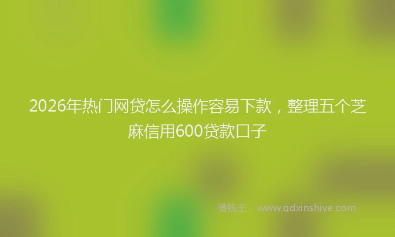 2026年热门网贷怎么操作容易下款，整理五个芝麻信用600贷款口子