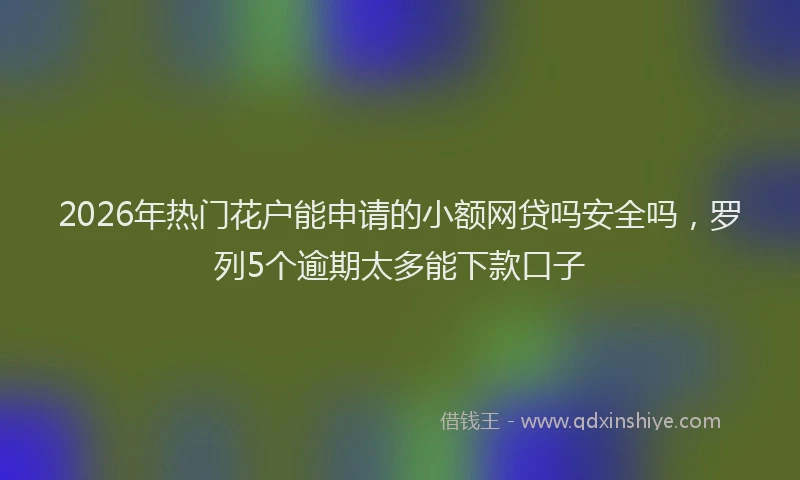 2026年热门花户能申请的小额网贷吗安全吗，罗列5个逾期太多能下款口子