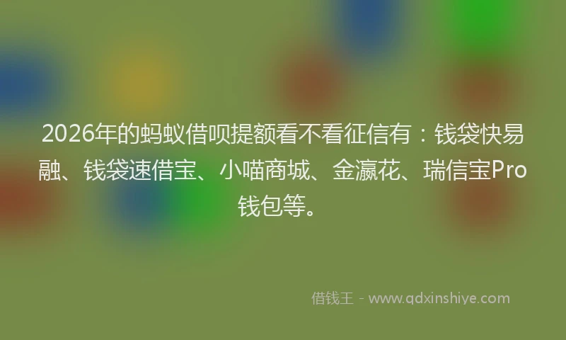 2026年的蚂蚁借呗提额看不看征信有：钱袋快易融、钱袋速借宝、小喵商城、金瀛花、瑞信宝Pro钱包等。