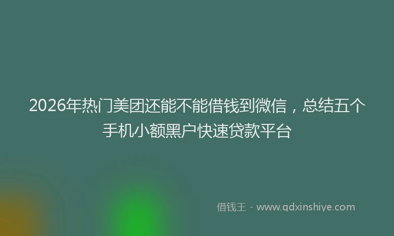 2026年热门美团还能不能借钱到微信，总结五个手机小额黑户快速贷款平台