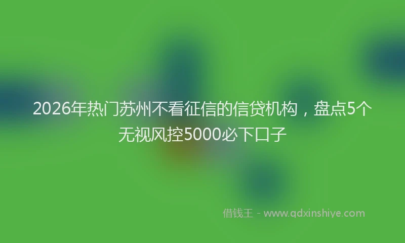 2026年热门苏州不看征信的信贷机构，盘点5个无视风控5000必下口子