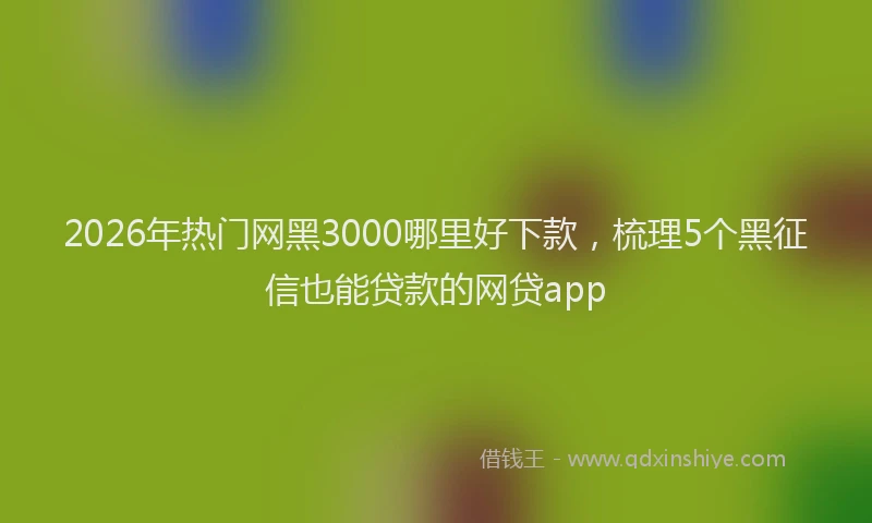 2026年热门网黑3000哪里好下款，梳理5个黑征信也能贷款的网贷app