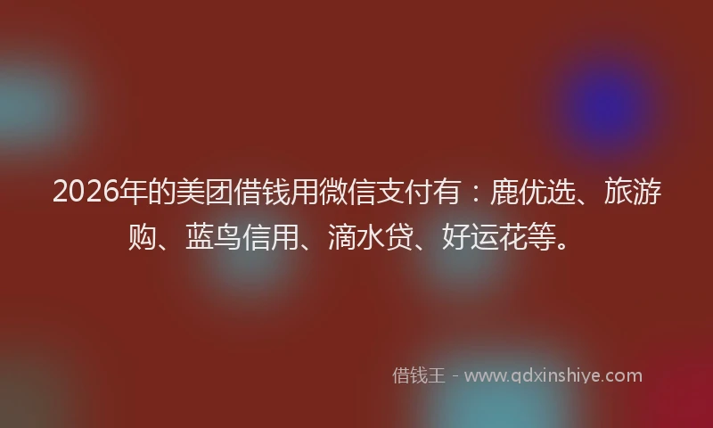 2026年的美团借钱用微信支付有:鹿优选、旅游购、蓝鸟信用、滴水贷、好运花等。