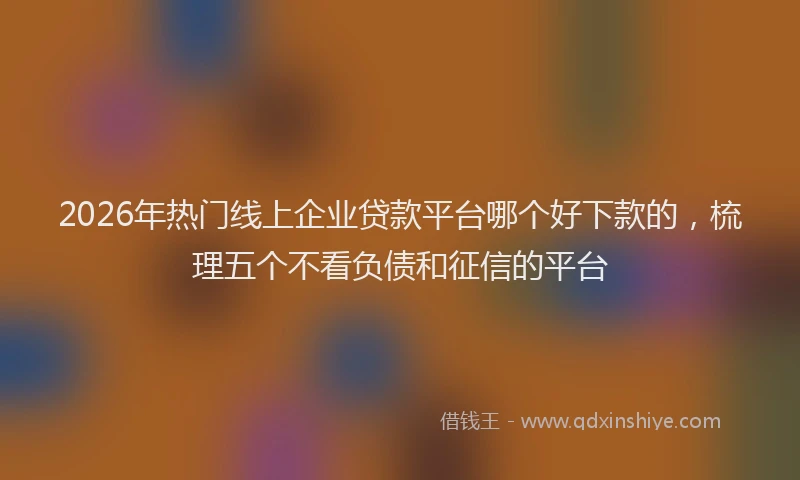 2026年热门线上企业贷款平台哪个好下款的，梳理五个不看负债和征信的平台
