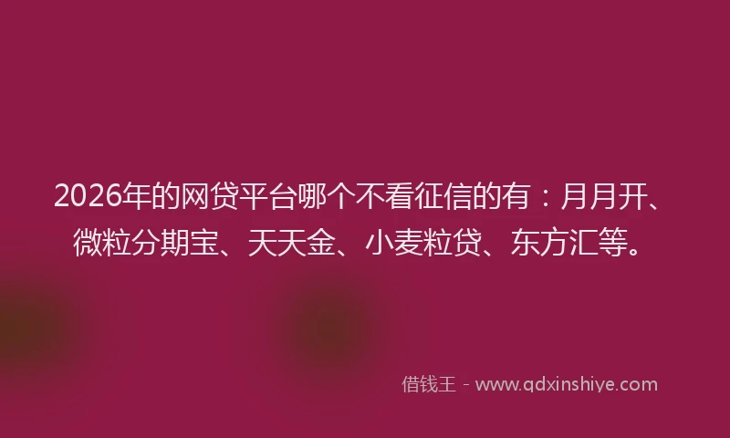 2026年的网贷平台哪个不看征信的有:月月开、微粒分期宝、天天金、小麦粒贷、东方汇等。