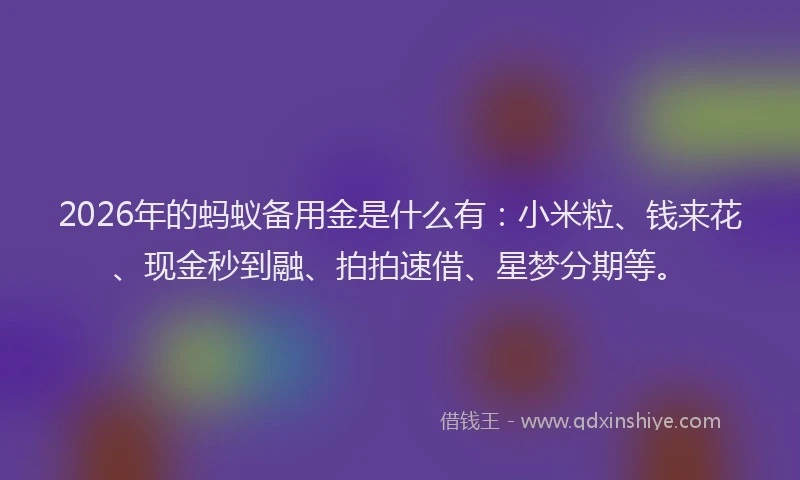 2026年的蚂蚁备用金是什么有：小米粒、钱来花、现金秒到融、拍拍速借、星梦分期等。