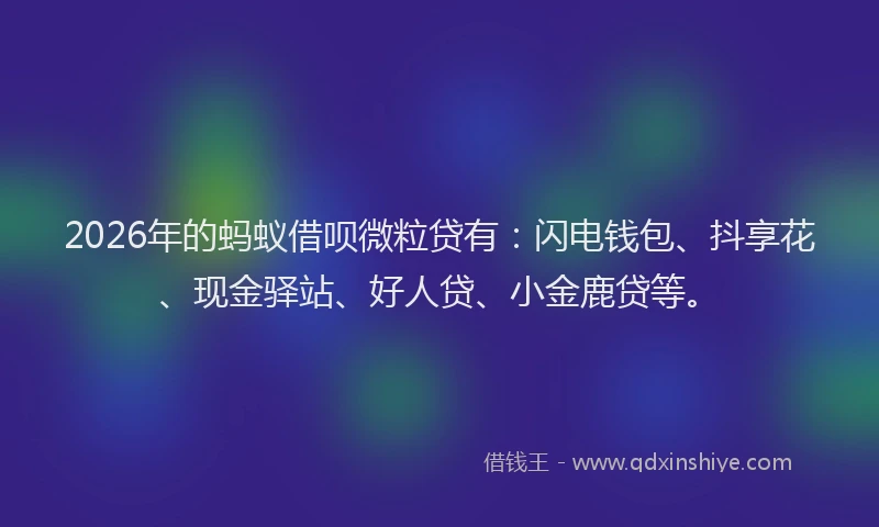 2026年的蚂蚁借呗微粒贷有：闪电钱包、抖享花、现金驿站、好人贷、小金鹿贷等。
