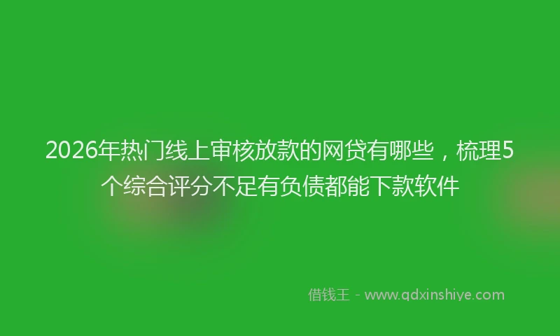 2026年热门线上审核放款的网贷有哪些，梳理5个综合评分不足有负债都能下款软件