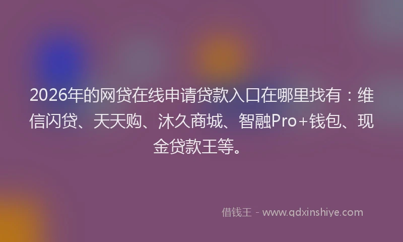 2026年的网贷在线申请贷款入口在哪里找有：维信闪贷、天天购、沐久商城、智融Pro+钱包、现金贷款王等。