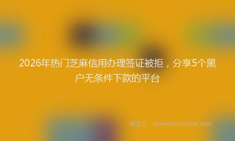 2026年热门芝麻信用办理签证被拒，分享5个黑户无条件下款的平台