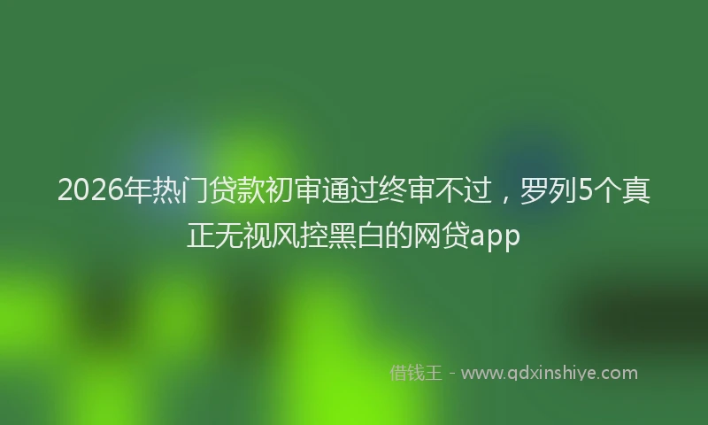 2026年热门贷款初审通过终审不过,罗列5个真正无视风控黑白的网贷app