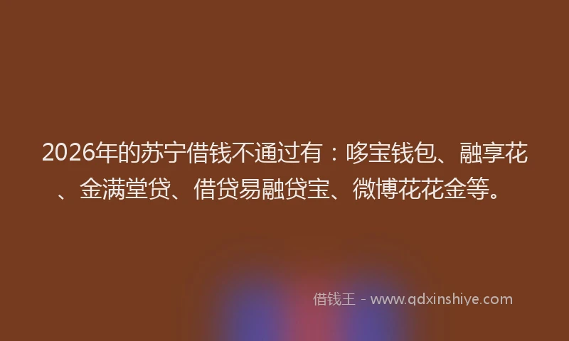 2026年的苏宁借钱不通过有：哆宝钱包、融享花、金满堂贷、借贷易融贷宝、微博花花金等。
