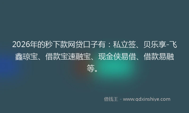 2026年的秒下款网贷口子有：私立签、贝乐享-飞鑫琼宝、借款宝速融宝、现金侠易借、借款易融等。