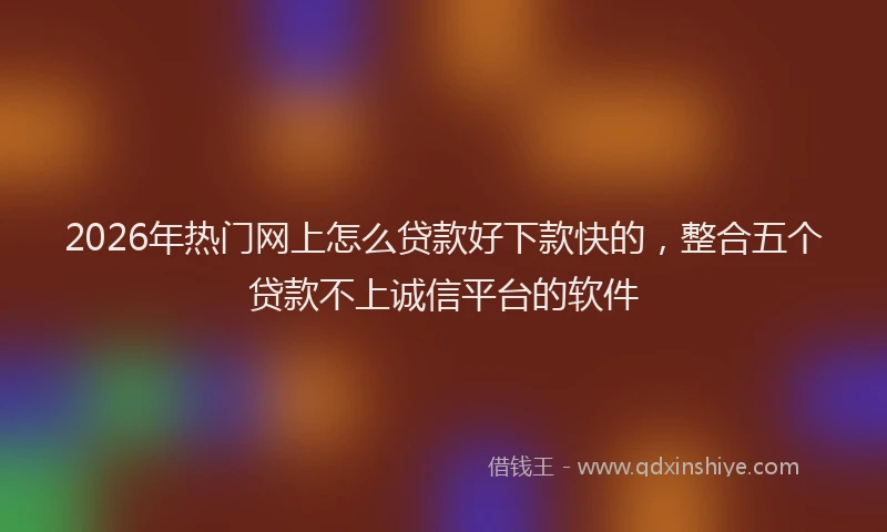 2026年热门网上怎么贷款好下款快的,整合五个贷款不上诚信平台的软件