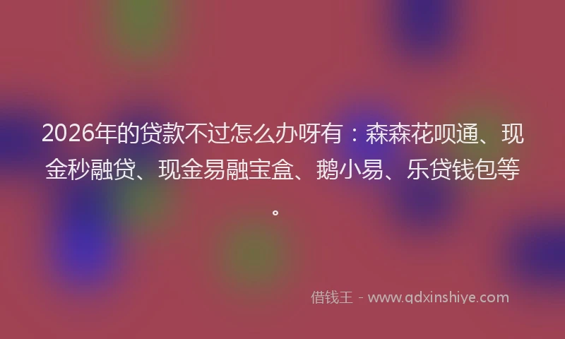 2026年的贷款不过怎么办呀有：森森花呗通、现金秒融贷、现金易融宝盒、鹅小易、乐贷钱包等。