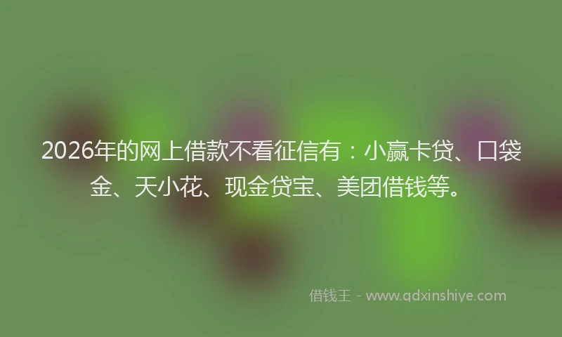 2026年的网上借款不看征信有：小赢卡贷、口袋金、天小花、现金贷宝、美团借钱等。