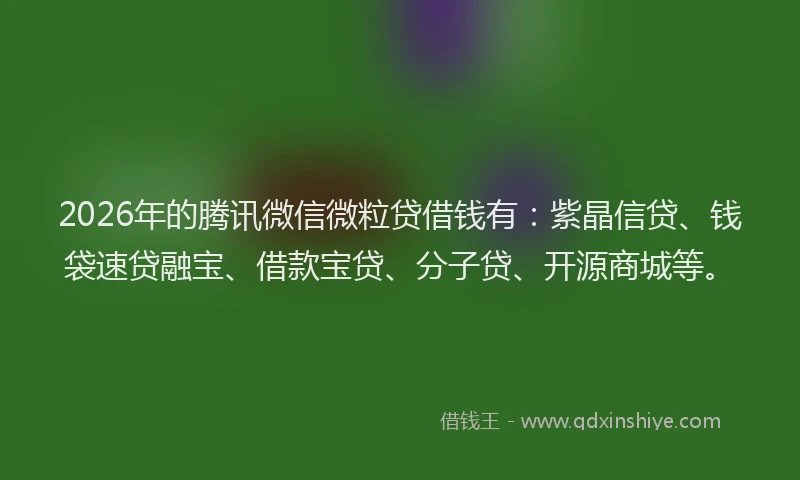 2026年的腾讯微信微粒贷借钱有：紫晶信贷、钱袋速贷融宝、借款宝贷、分子贷、开源商城等。
