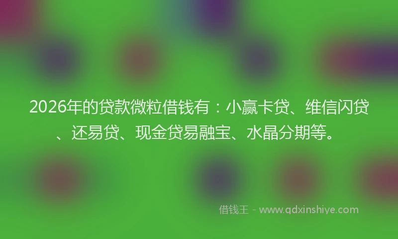 2026年的贷款微粒借钱有：小赢卡贷、维信闪贷、还易贷、现金贷易融宝、水晶分期等。