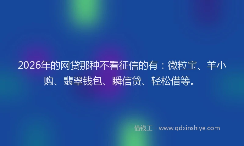 2026年的网贷那种不看征信的有：微粒宝、羊小购、翡翠钱包、瞬信贷、轻松借等。
