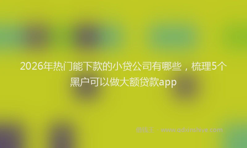 2026年热门能下款的小贷公司有哪些，梳理5个黑户可以做大额贷款app